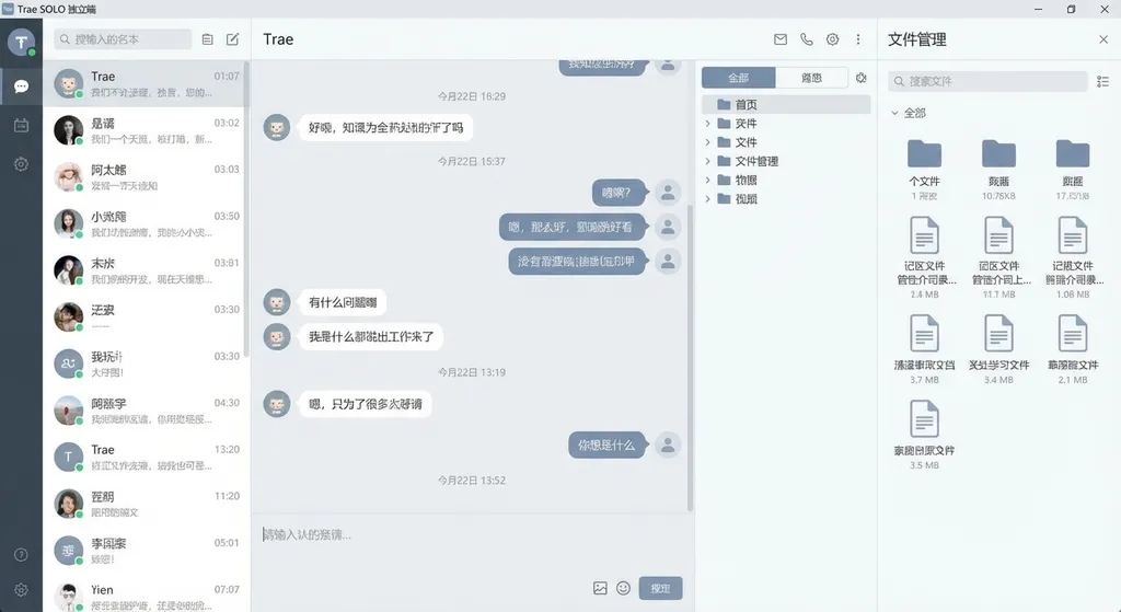 Trae SOLO 独立端主界面截图,展示清爽的对话界面和右侧文件管理面板