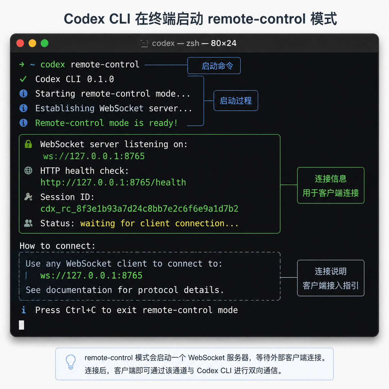 Codex CLI 在终端启动 remote-control 模式的示意图