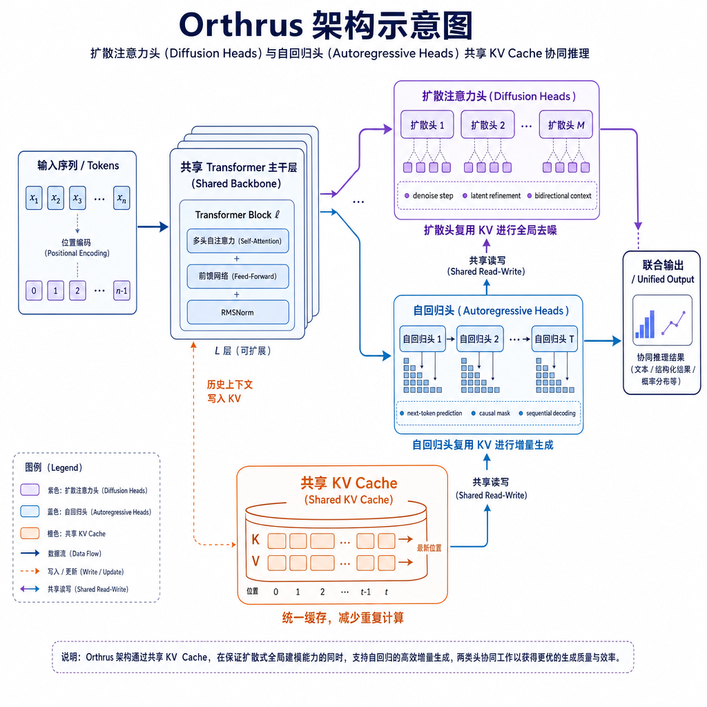 Orthrus 架构示意图，展示扩散注意力头和自回归头如何共享 KV Cache 并协同工作