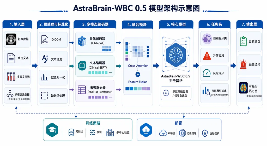 AstraBrain-WBC 0.5 模型架构示意图