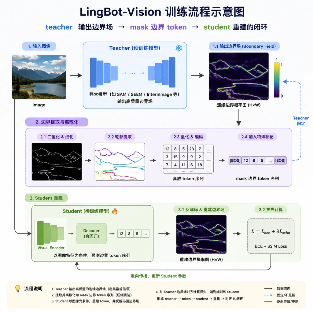 LingBot-Vision 训练流程示意图,展示 teacher 输出边界场→ mask 边界 token → student 重建的闭环