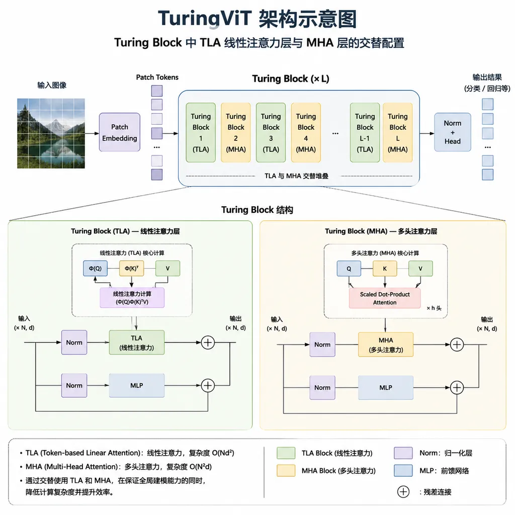 TuringViT架构示意图,展示Turing Block中TLA线性注意力层与MHA层的交替配置